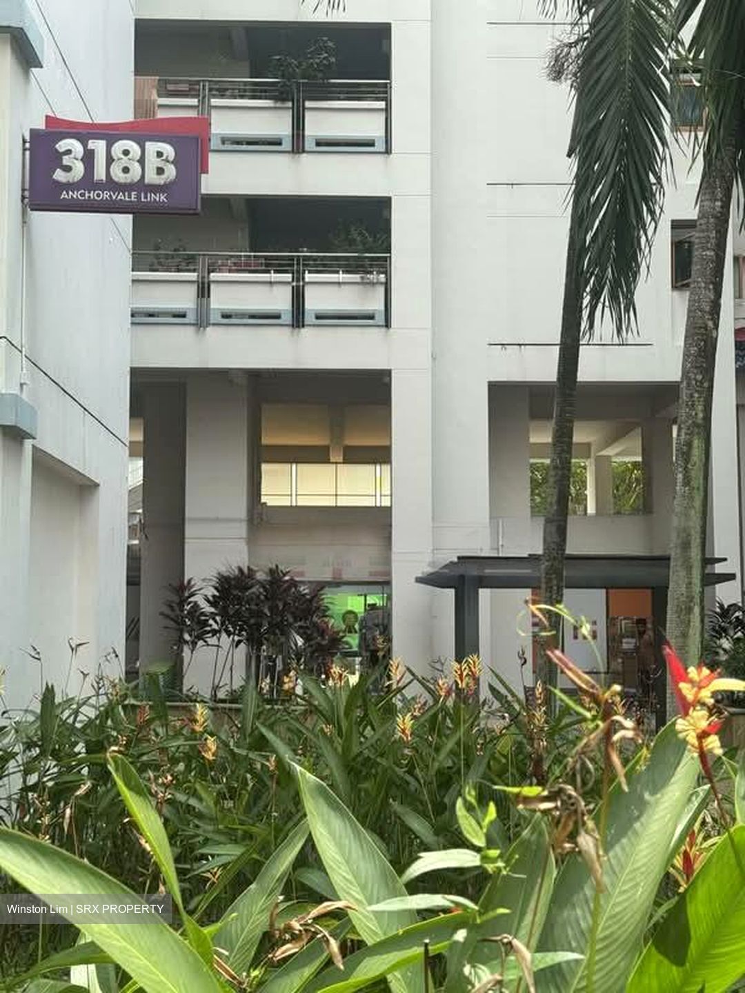 Blk 318B Anchorvale Link (Sengkang), HDB 5 Rooms #582779201